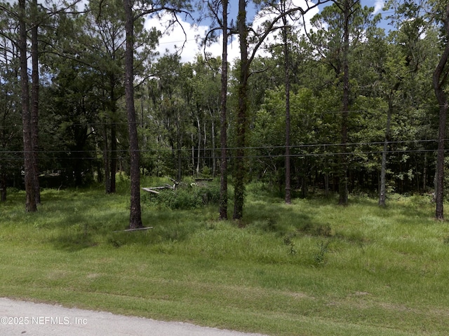 8879 Johnson Ct, Jacksonville, FL 32219 - photo 9
