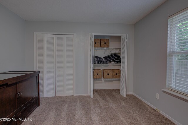 11657 Brush Ridge Cir N, Jacksonville, FL 32225 - photo 21