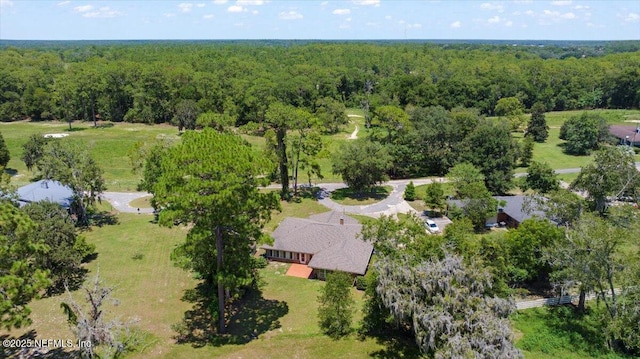 4842 SE 2nd Ave, Keystone Heights, FL 32656 - photo 20