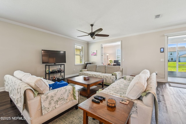 305 Ocean Jasper Dr, Saint Augustine, FL 32086 - photo 13
