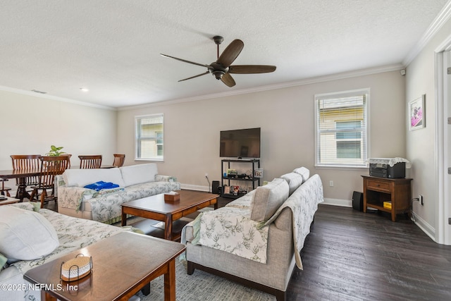 305 Ocean Jasper Dr, Saint Augustine, FL 32086 - photo 11