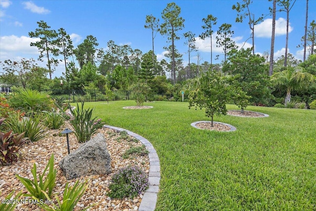 141 Hazelwood Dr, Ponte Vedra, FL 32081 - photo 44