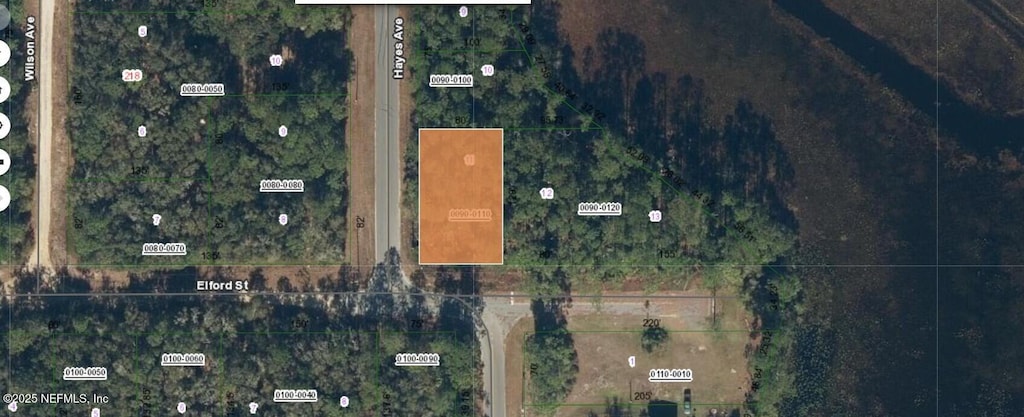 0 Elford St, Interlachen, FL 32148 - photo 2