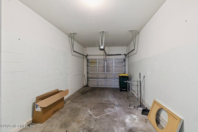 7507 Scarlet Ibis Ln, Jacksonville, FL 32256 - photo 4