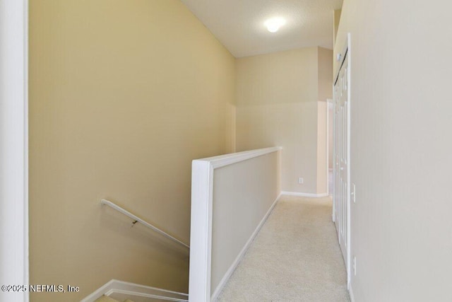 7507 Scarlet Ibis Ln, Jacksonville, FL 32256 - photo 22