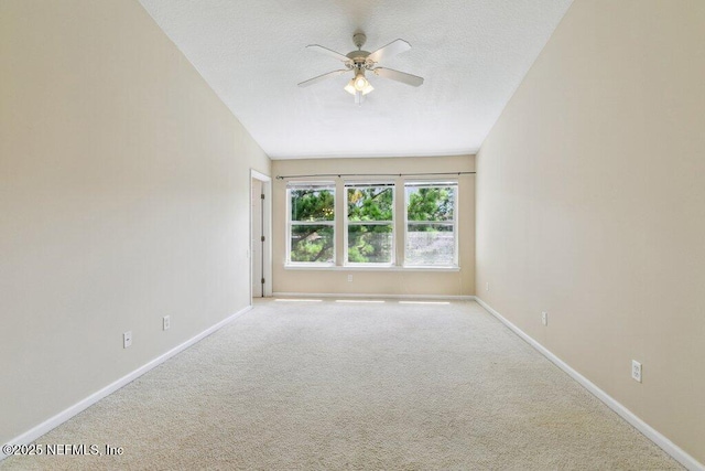 7507 Scarlet Ibis Ln, Jacksonville, FL 32256 - photo 23