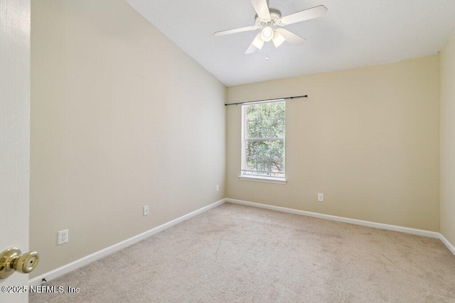 7507 Scarlet Ibis Ln, Jacksonville, FL 32256 - photo 30
