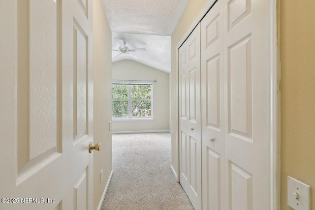 7507 Scarlet Ibis Ln, Jacksonville, FL 32256 - photo 33