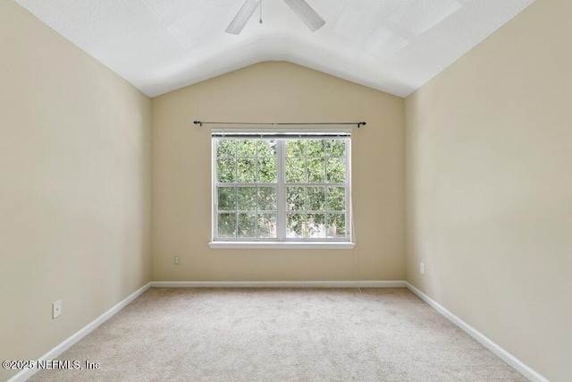 7507 Scarlet Ibis Ln, Jacksonville, FL 32256 - photo 34