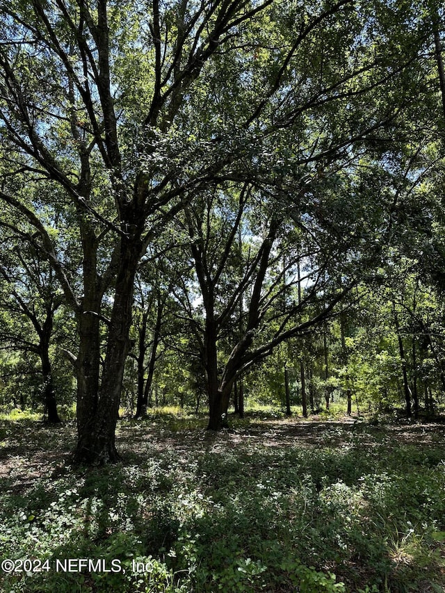 LOT16 NE 209th Way, Melrose, FL 32666 - photo 4