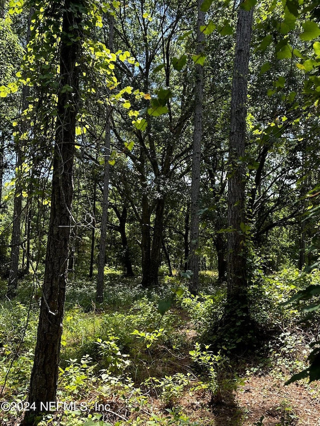 LOT16 NE 209th Way, Melrose, FL 32666 - photo 5