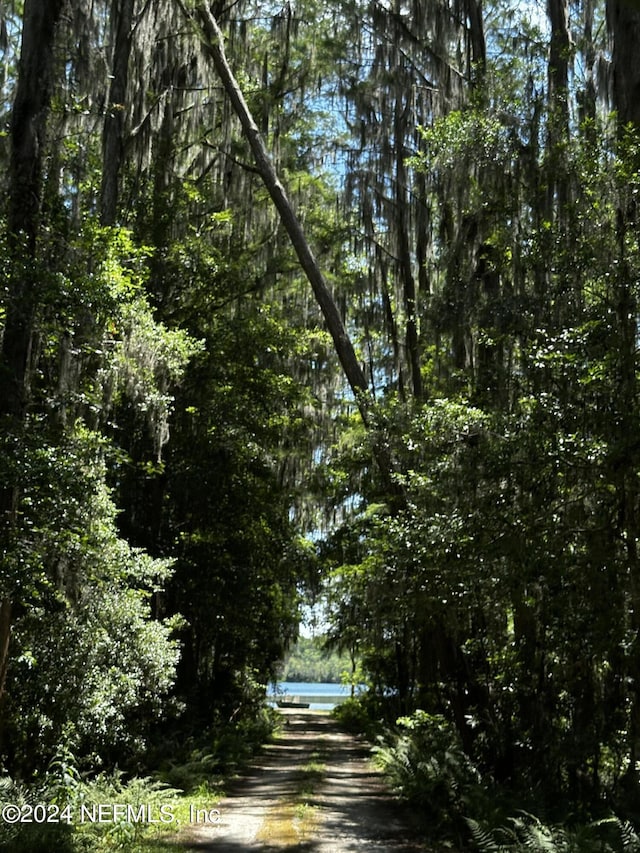 LOT16 NE 209th Way, Melrose, FL 32666 - photo 9