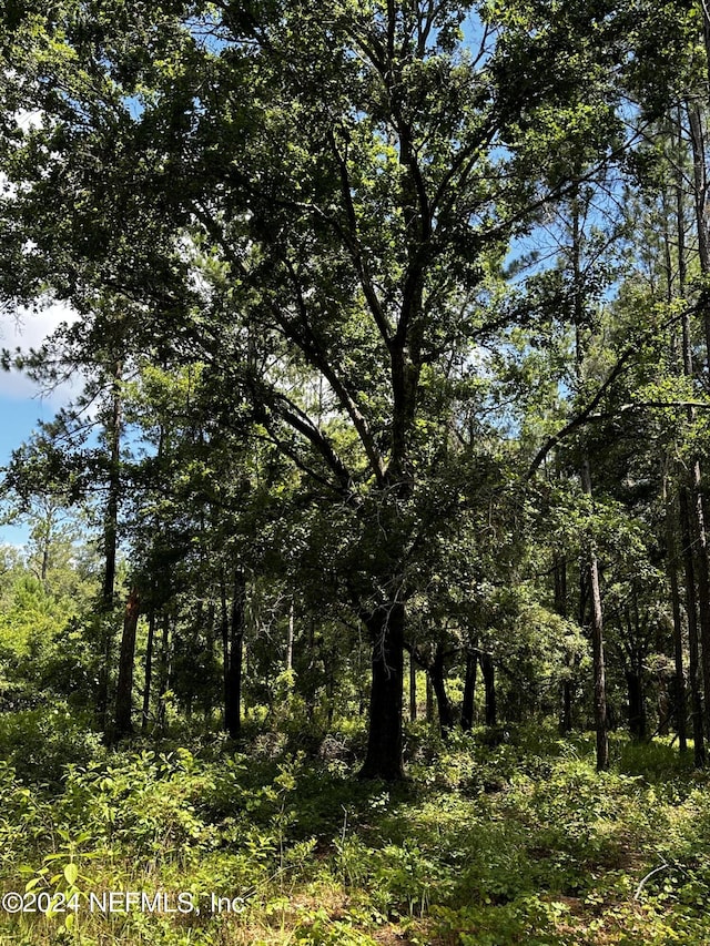LOT16 NE 209th Way, Melrose, FL 32666 - photo 18