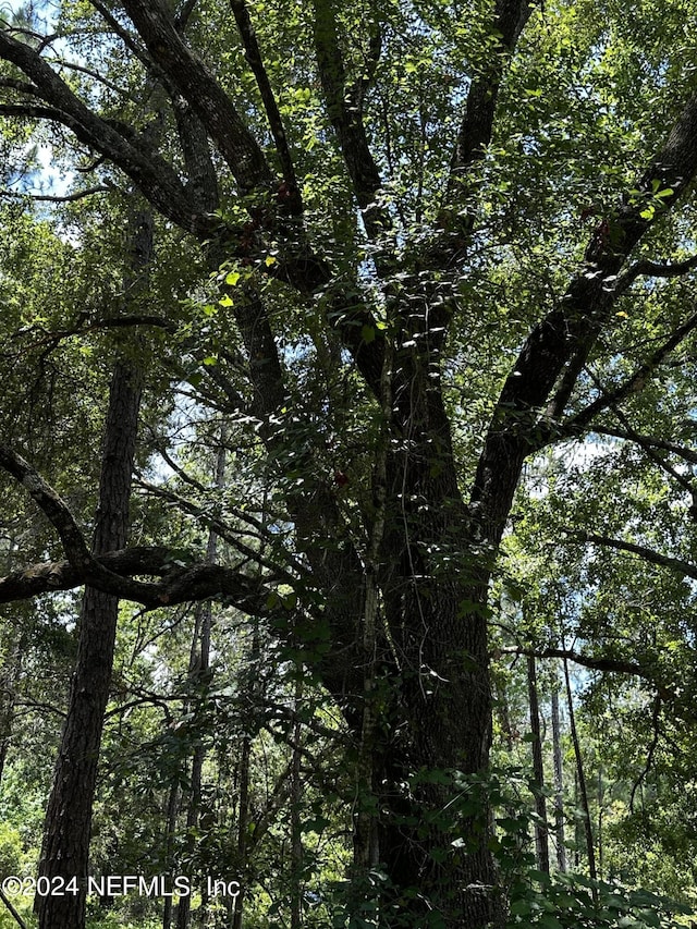 LOT16 NE 209th Way, Melrose, FL 32666 - photo 22