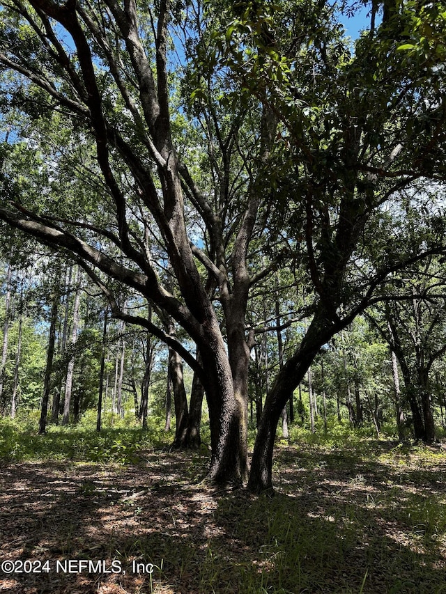 LOT16 NE 209th Way, Melrose, FL 32666 - photo 25