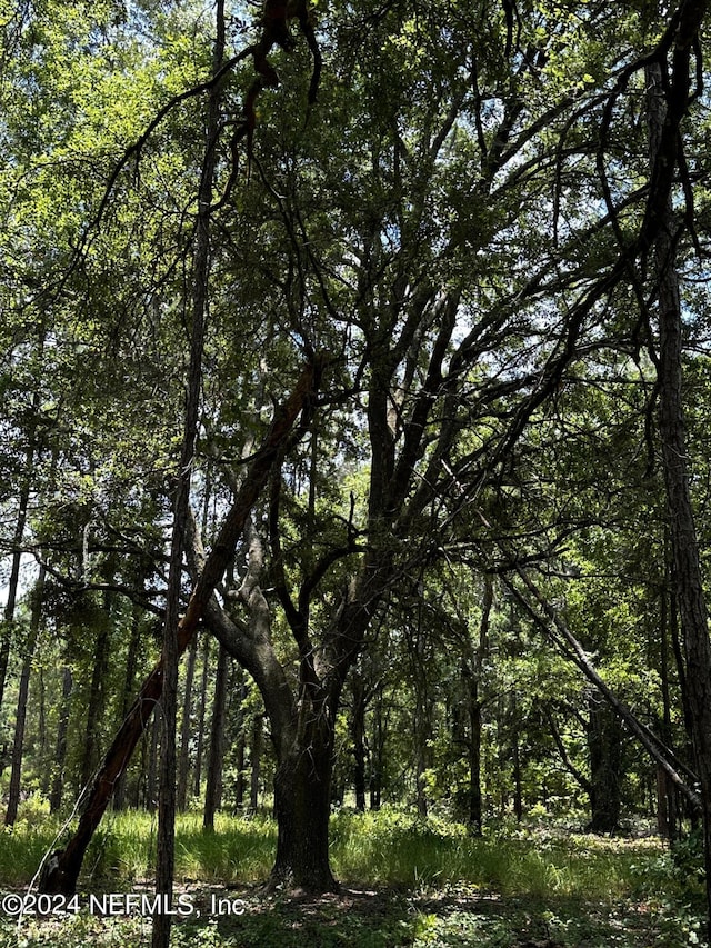 LOT16 NE 209th Way, Melrose, FL 32666 - photo 26