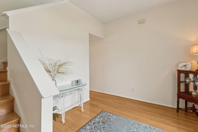 224 Hidden Dune Ct, Ponte Vedra Beach, FL 32082 - photo 9