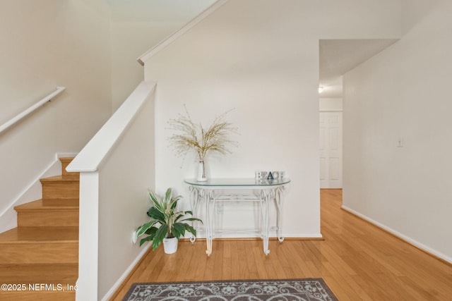 224 Hidden Dune Ct, Ponte Vedra Beach, FL 32082 - photo 10