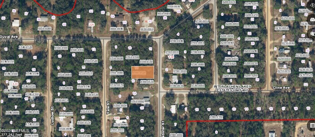 0 Webster St, Interlachen, FL 32148 - photo 2