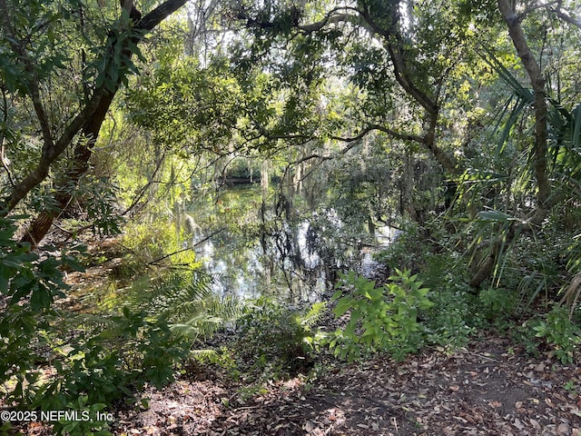 2017 Clinch Dr, Fernandina Beach, FL 32034 - photo 13