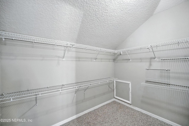 12454 Briarmead Ln, Jacksonville, FL 32258 - photo 33