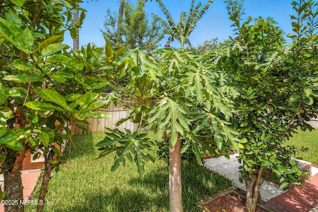 12454 Briarmead Ln, Jacksonville, FL 32258 - photo 37