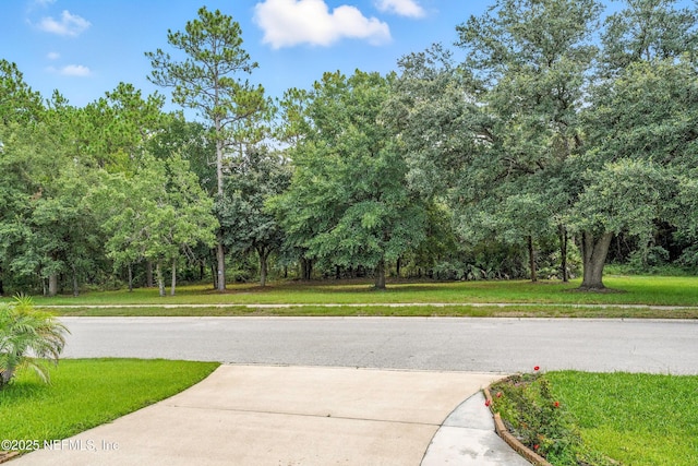 12454 Briarmead Ln, Jacksonville, FL 32258 - photo 41
