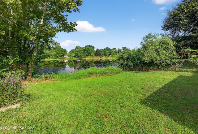 11716 Ft Caroline Lakes Dr, Jacksonville, FL 32225 - photo 24