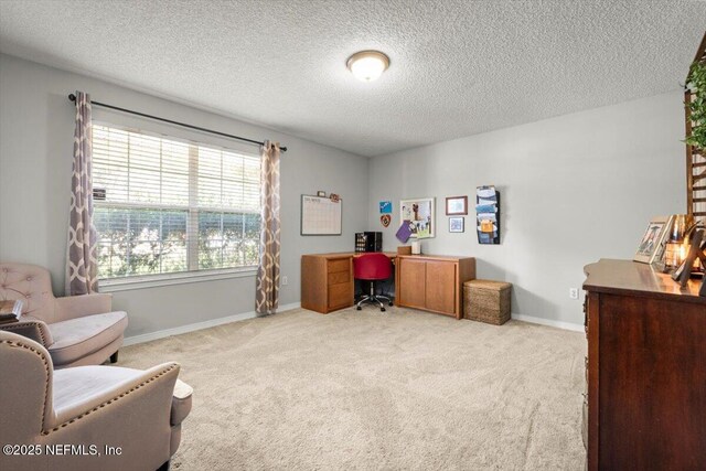 2456 Mallory Hills Rd, Jacksonville, FL 32221 - photo 7