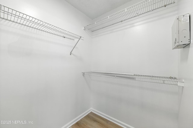 1750 Gallahadion Ct, Jacksonville, FL 32218 - photo 28