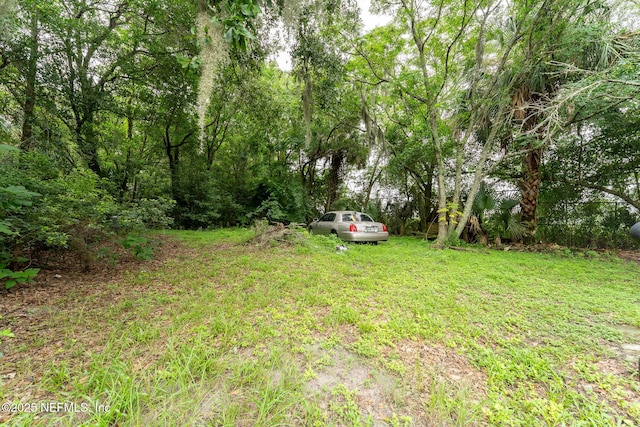 118 Corbett Rd, Palatka, FL 32177 - photo 19
