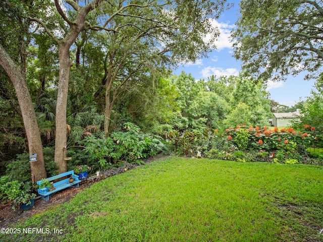 1754 High Brook Ct, Jacksonville, FL 32225 - photo 21