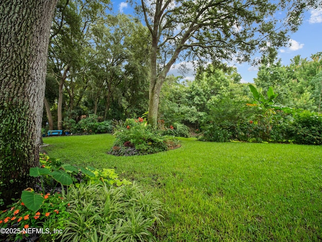 1754 High Brook Ct, Jacksonville, FL 32225 - photo 23