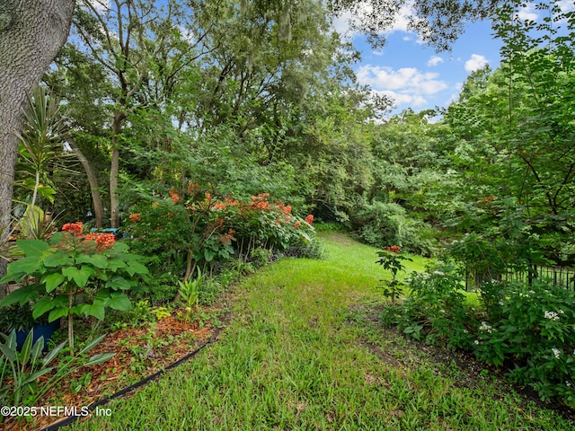 1754 High Brook Ct, Jacksonville, FL 32225 - photo 24