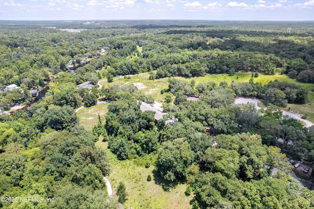 2990 Ravines Rd Unit 1404, Middleburg, FL 32068 - photo 23