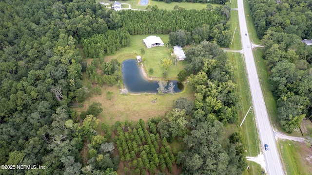 4065 State Road 16, Saint Augustine, FL 32092 - photo 5