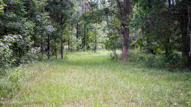 4065 State Road 16, Saint Augustine, FL 32092 - photo 10