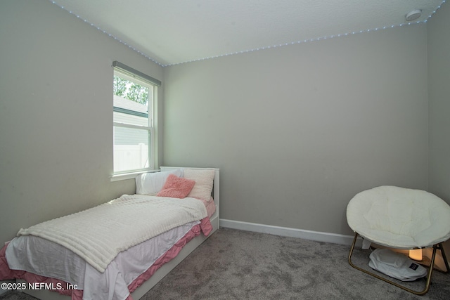 558 Honeycomb Trl, Saint Augustine, FL 32095 - photo 22