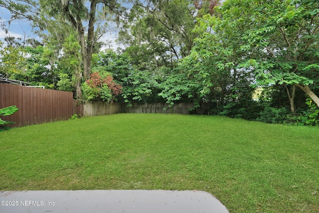 1916 University Blvd N, Jacksonville, FL 32211 - photo 33