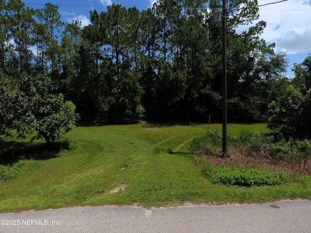 218 Tarpon Blvd, Palatka, FL 32177 - photo 2