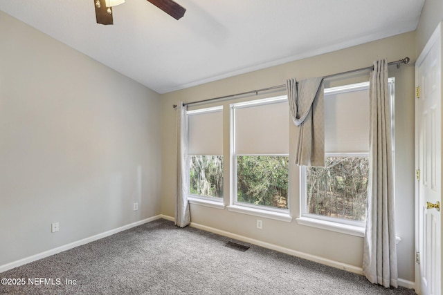 3545 Twisted Tree Ln, Jacksonville, FL 32216 - photo 19