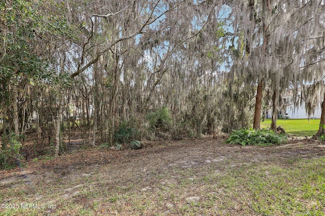 3545 Twisted Tree Ln, Jacksonville, FL 32216 - photo 36