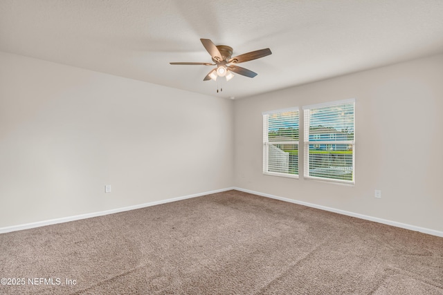 12042 Shore Rush Trl, Jacksonville, FL 32218 - photo 16