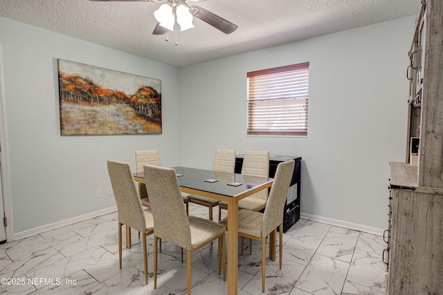 721 Foxbriar Cv, Jacksonville, FL 32221 - photo 26