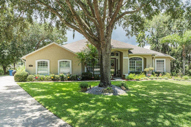 2959 Marsh Elder Dr S, Jacksonville, FL 32226 - photo 45
