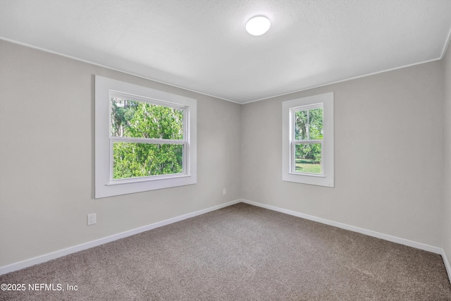 450 Taylor Ave, Orange Park, FL 32065 - photo 24