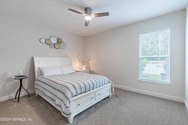 3214 Carolina Rose Ct, Green Cove Springs, FL 32043 - photo 28
