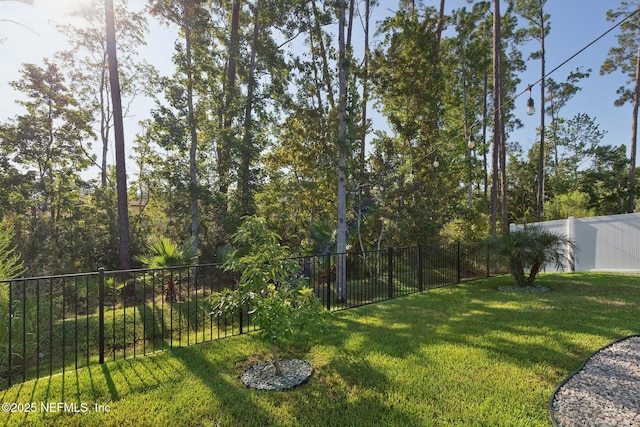 1856 Cogdill Trce, Middleburg, FL 32068 - photo 49