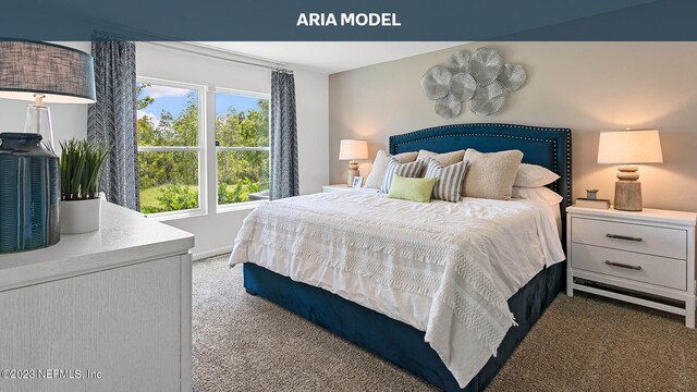 46 Evora Ct, Saint Augustine, FL 32084 - photo 13