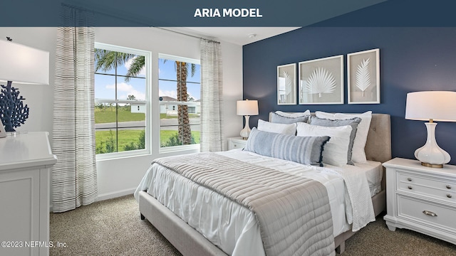 46 Evora Ct, Saint Augustine, FL 32084 - photo 17